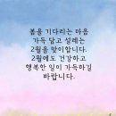 크로앙스 Daum카페