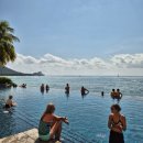 와이키키 | 하와이 쉐라톤 와이키키 수영장 후기 인피니티 풀 &amp; 패밀리 풀 이용 꿀팁 타월카드 필수