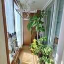 안심초등학교 | [여수 소호동 프레지던트 아파트]급매!!! 거실 오션뷰 세대, 기본형으로 리모델링 후 입주하면 좋을 곳...