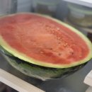 배방사랑 어린이집 | 아산 온양 배방 어린이집 생일상 맛집 - 과일 전문점 그린마켓(GREEN MARKET)