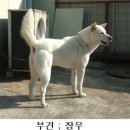 장우랑 - 433920 | 장우랑