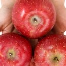 황태자농장 이미지