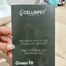 미래펫 | 강아지 종합 영양제 셀비펫 그린핏 올인원 밸런스 솔직 후기