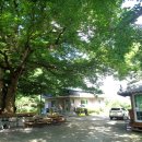 내2리경로당 이미지