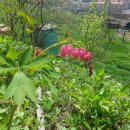 금골농장 이미지