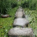 민들레농장 | 거창 민들레울에서 시원한 여름을 맞이해볼까요?!