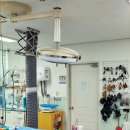 충남야생동물구조센터 이미지