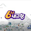 제주영실 표고버섯