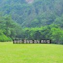 고산자연휴양림 캐라반 입구 이미지