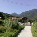 명전계곡 이미지