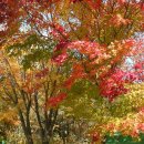 해인초등학교 이미지