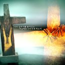 성빈센트 드뽈수녀회 이미지