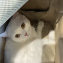 바미메디칼 네이버블로그
