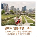 가인동물병원 | 동반 숙소] 난바 에어비앤비 애견동반 숙소, 강아지랑 일본 오사카여행, 일본에어비앤비 단점 솔직후기