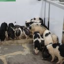 해안도로 주유소 이미지