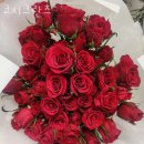 코지크란츠