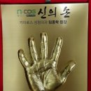 카이로스크리닉 이미지