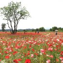 악양생태공원 이미지