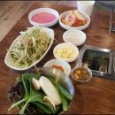 제주꽃돼지 이미지