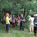 치유의 숲 이미지