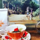 (주)샤인위드컴페니언 이미지