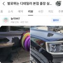 세차인(광