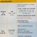 하나 | 카시아속초 수영장 가격 시간 미세팁 후기 하나부터 열까지 다 담아옴