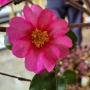 하얀나라깨끗한세상 이미지