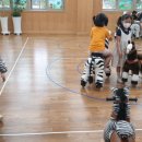 벌원초등학교 병설유치원 이미지