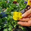 민화농장 이미지