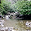 주내주유소 이미지