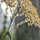 굿모닝한방병원 이미지