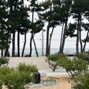 Glla haus(글라 하우스) | 내가 가려고 모아두는 감성 숙소 LIST -) 전국 숙소_분위기 맛집편 29 (소소온담, 프레임인, 글라하우스)