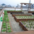 법2동 주민센터 이미지