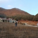 구절초마당