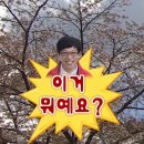 [에스보라카이] 보라카이 호핑투어 여기 웨안가..?