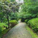 심곡 탁구장 이미지