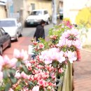 꾸미랑유치원 이미지