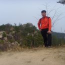 보성초등학교 이미지