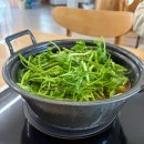 새정성약국 이미지