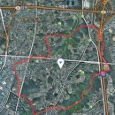 남촌도림동-2 이미지