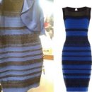 전세계에서 논란중인 그 드레스 블랙/블루 컬러로 판결 이미지