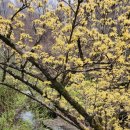 구례약국 이미지