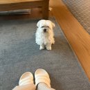 🌈약간 싸돌아다니는 전업자녀의 삶🌈