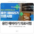 해바라기치과의원 이미지