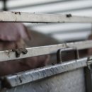 후계자축산 | 학살의 연쇄 - 아우슈비츠로 가는 길