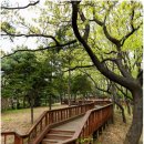 인창중앙공원 공연장 이미지