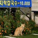 GS25 제부도점 네이버블로그