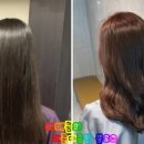 까망머리앤미용실 이미지
