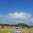 코스모스맨션 앞 | Get My Money Back_10월 일상